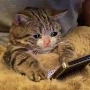 Meet your Posher, Amara